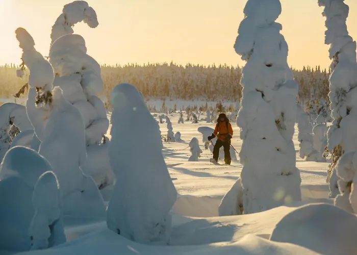 Appartement Kurmitta Syöte