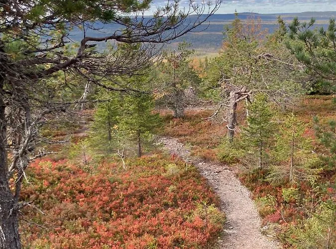 Kurmitta Appartement *